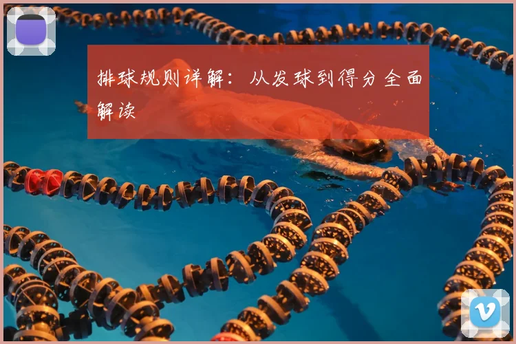 排球规则详解：从发球到得分全面解读