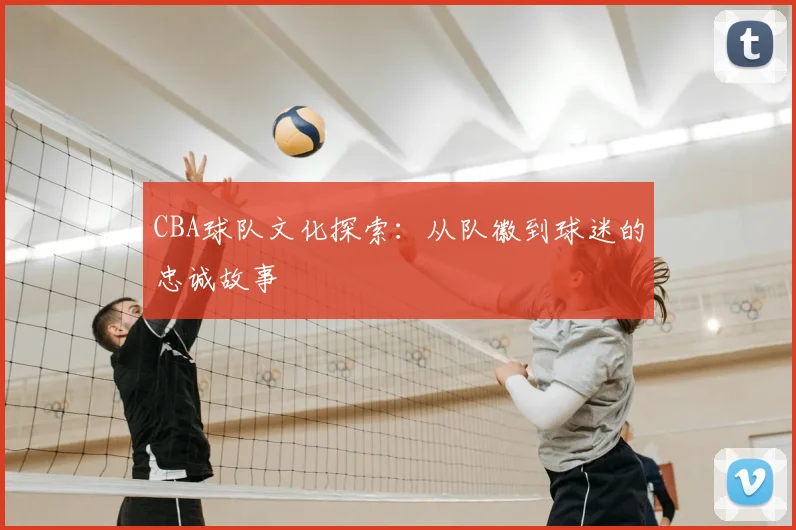 CBA球队文化探索：从队徽到球迷的忠诚故事