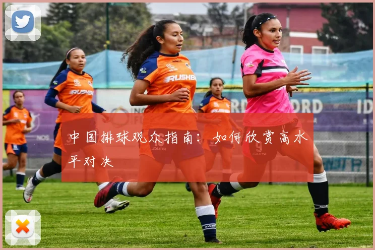 中国排球观众指南：如何欣赏高水平对决