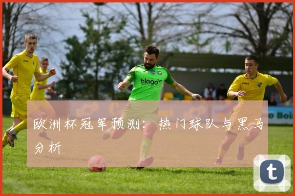 欧洲杯冠军预测：热门球队与黑马分析