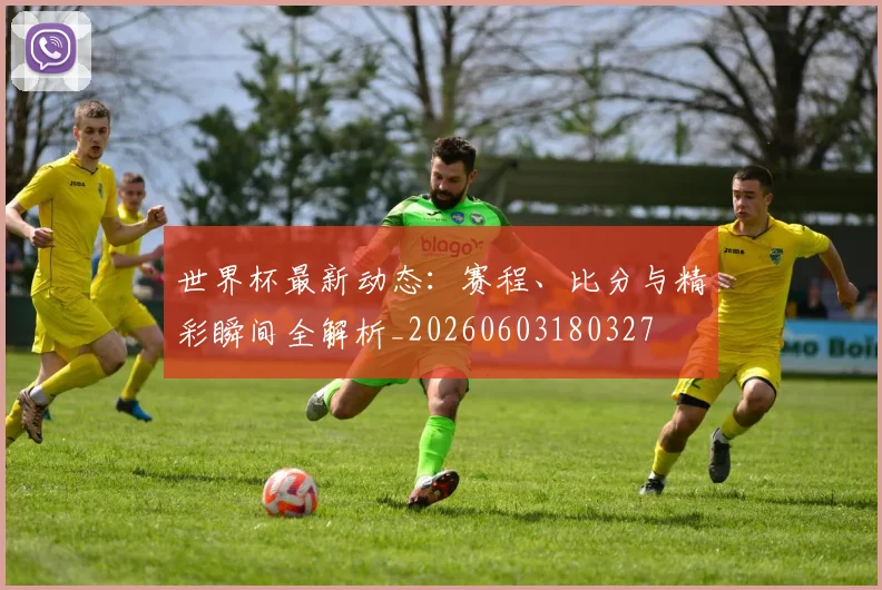世界杯最新动态：赛程、比分与精彩瞬间全解析_20260603180327