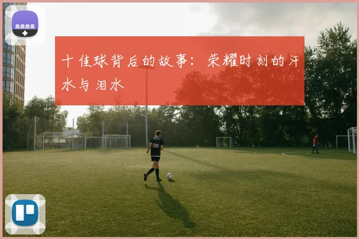 十佳球背后的故事：荣耀时刻的汗水与泪水