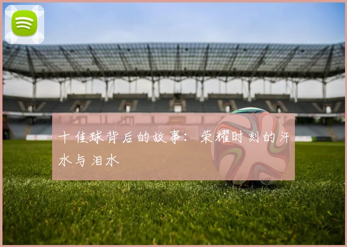 十佳球背后的故事：荣耀时刻的汗水与泪水